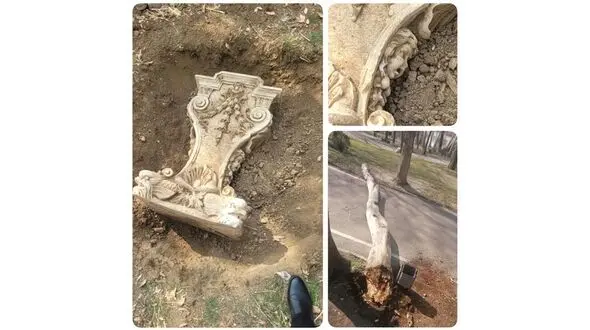 دزدان پایه ستون قاجاری را رها نخواهیم کرد/ به دروغ هایی چون قطع درختان توجه نکنید