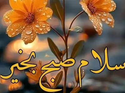 فال ابجد محشر 19 آبان 