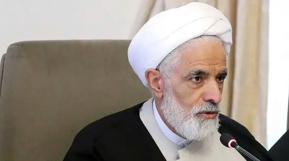  انصاری: قانون حجاب اشکالات جدی داشت و بسیاری از مواد آن قابل اجرا نبود