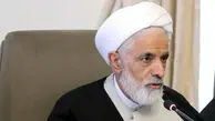  انصاری: قانون حجاب اشکالات جدی داشت و بسیاری از مواد آن قابل اجرا نبود