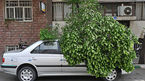 هشدار مدیریت بحران نسبت به احتمال وقوع طوفان در تهران