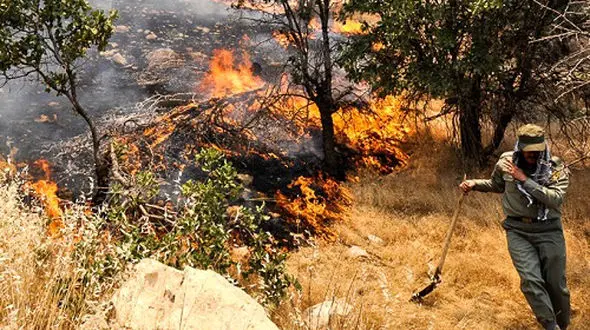 آتش‌سوزی مهیب در جنگل‌های مازندران/ تلاش نفس‌گیر آتش‌نشانان و مردم + فیلم 