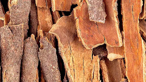 صبحانه دارچین را فراموش نکنید!