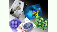 ویروس‌ آنفلوآنزا را چطور از بین ببریم؟