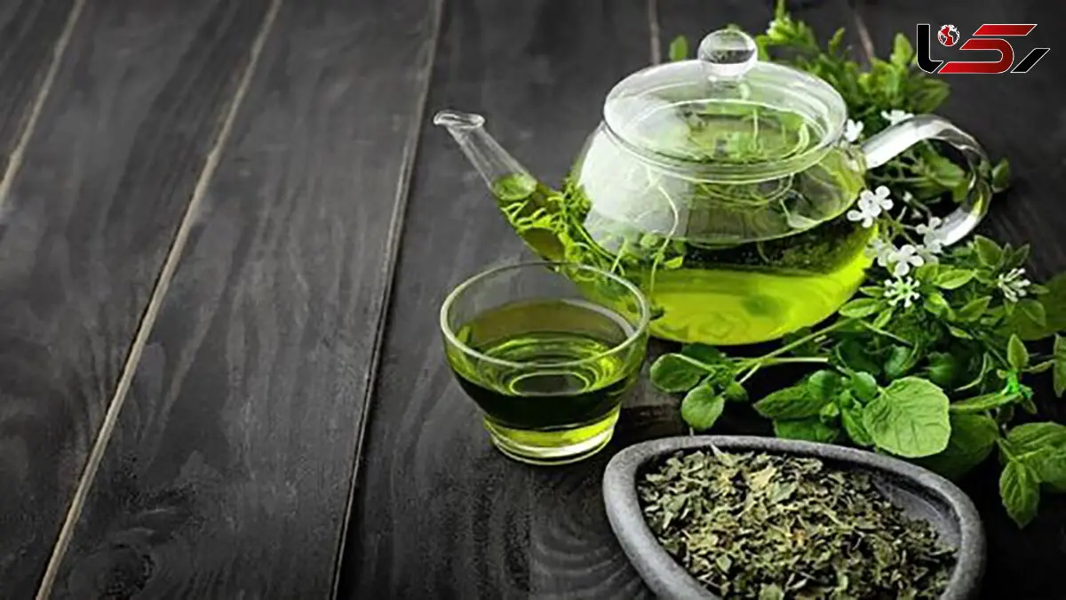 بهترین خوراکی‌ های چربی سوز را بشناسید 
