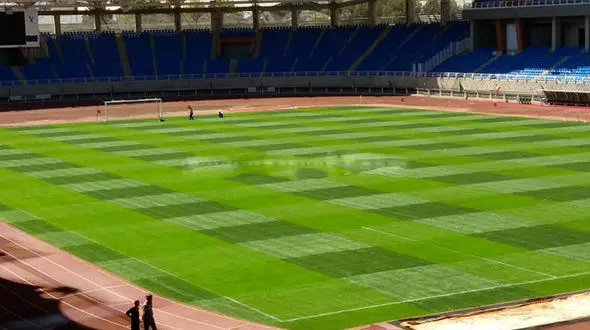 چمن ورزشگاه امام رضا آماده افتتاحیه