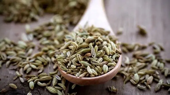 سلامت استخوان ها با این گیاه معجزه گر