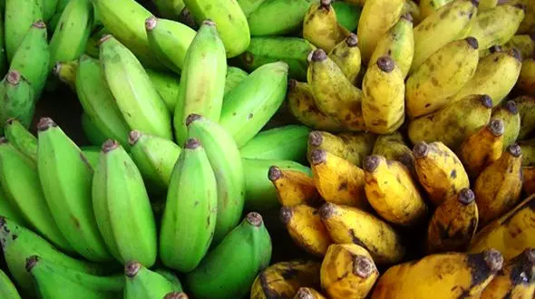 میوه هایی که وارداتشان به کشور آزاد است