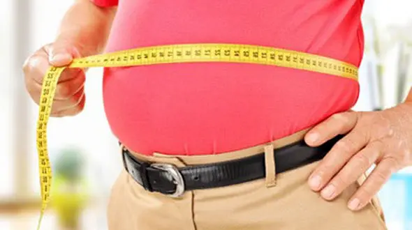 چاق ها کم هوش تر هستند!