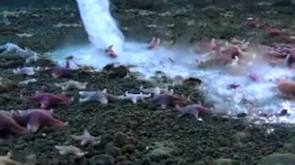 اولین فیلم از پدیده کشنده انگشت یخی  + فیلم