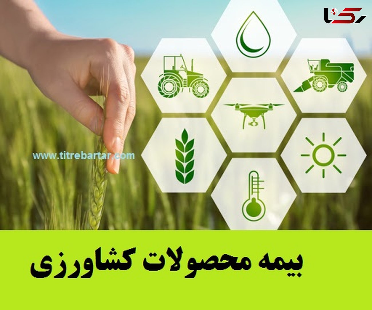 کسب رتبه اول کشوری در توسعه ضریب نفوذ بیمه توسط صندوق بیمه محصولات کشاورزی استان چهارمحال وبختیاری  