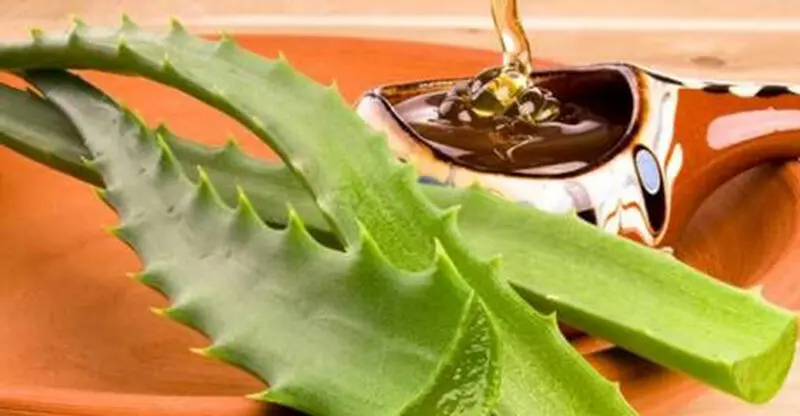 کرم دور چشم گیاهی و ضد چروک با روغن نارگیل و روغن جوانه گندم
