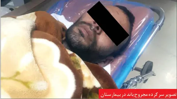 وحشت از قوی پنجه ها در مشهد / شلیک 3 گلوله برای آرامش +عکس