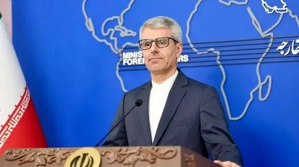 بقائی: بازداشت مهدیه اسفندیاری مصداق گروگانگیری است / هرگونه اقدام تروریستی در هر نقطه از جهان فارغ از انگیزه های آن محکوم است