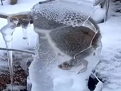 معماری طبیعت؛ داستان سنجاب در برف و هنر شکستن یخ با چکش / فیلم