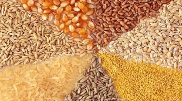 قیمت نهاده دامی بعد از حذف ارز 4200 تومانی چقدر می شود ؟ + جدول قیمت