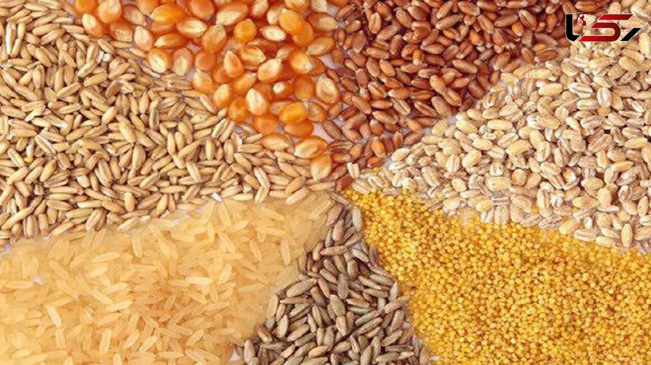 قیمت نهاده دامی بعد از حذف ارز 4200 تومانی چقدر می شود ؟ + جدول قیمت