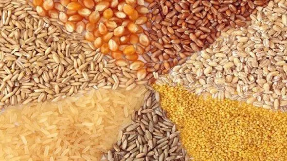 قیمت نهاده دامی بعد از حذف ارز 4200 تومانی چقدر می شود ؟ + جدول قیمت