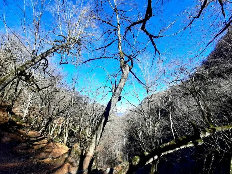 تصاویری چشم نواز از مناظر پاییزی آبشار چمازچال گرگان