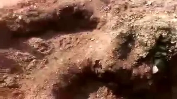 فیلم جسد به قتل رسیده در پارک درستکار رضوانشهر +فیلم