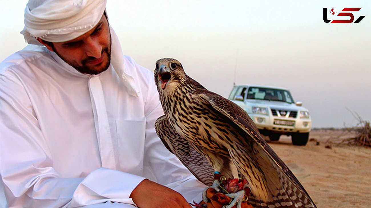 تفریحات شیخ های عرب با پرندگان ایرانی +عکس