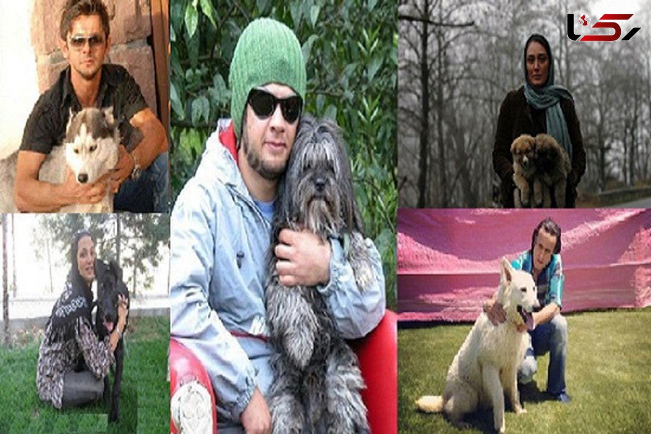 نقش سلبریتی‌های لاکچری در ترویج زندگی با سگ ها!ً + عکس
