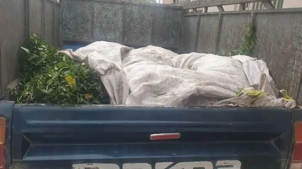 قاتلان جنگل های هیرکانی گلستان شبانه به‌سمت تهران می رفتند / یگان حفاظت منابع طبیعی ایست داد + تصاویر