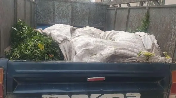 قاتلان جنگل های هیرکانی گلستان شبانه به‌سمت تهران می رفتند / یگان حفاظت منابع طبیعی ایست داد + تصاویر