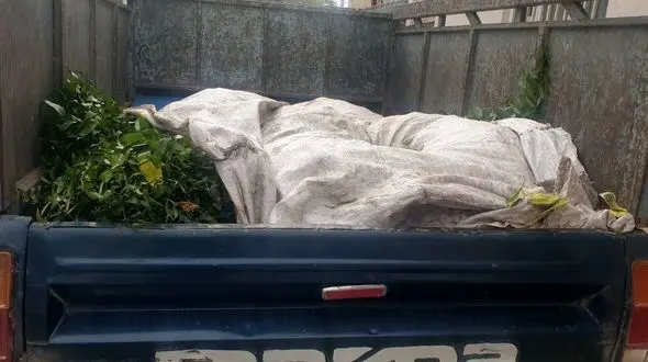 قاتلان جنگل های هیرکانی گلستان شبانه به‌سمت تهران می رفتند / یگان حفاظت منابع طبیعی ایست داد + تصاویر