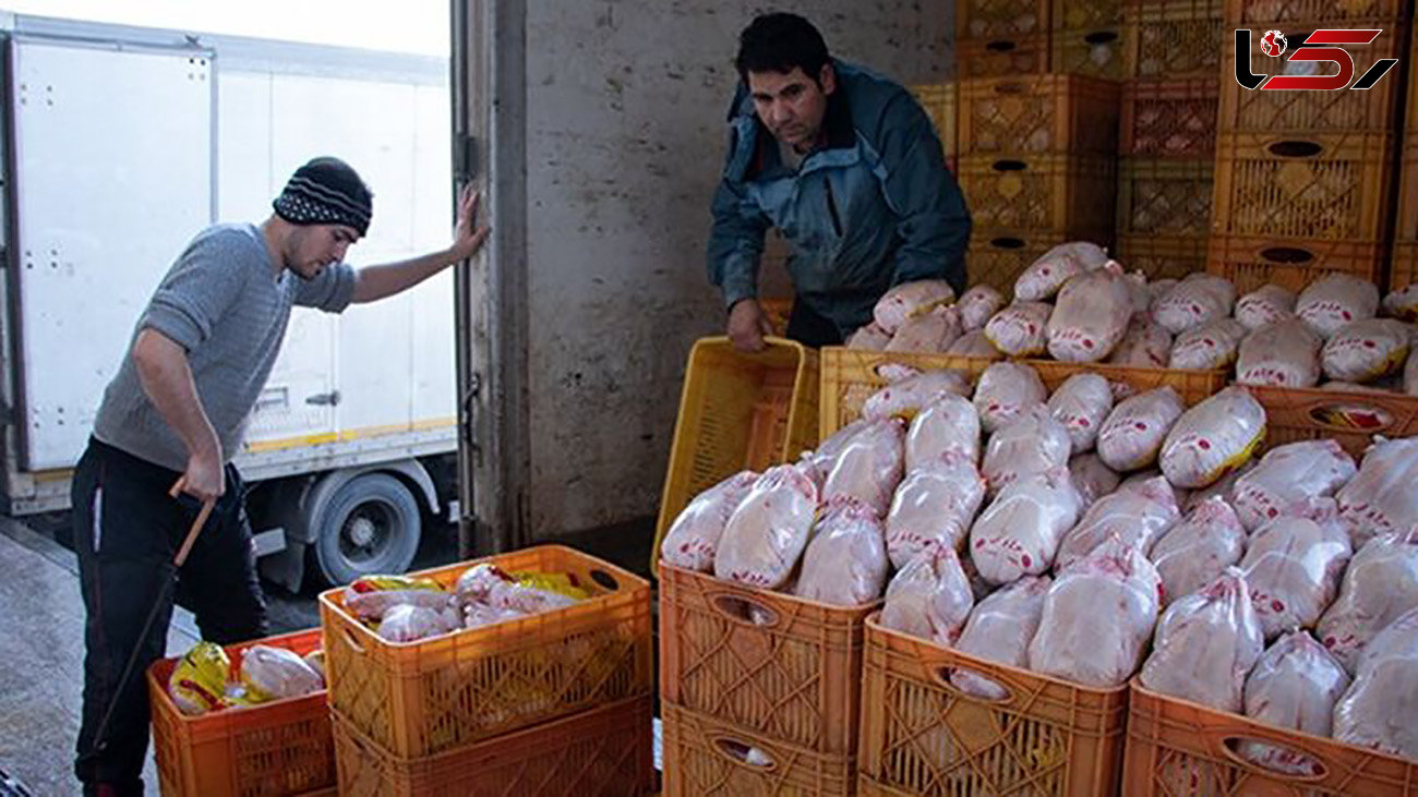 ابلاغ واردات 50 هزار تن مرغ به گمرک