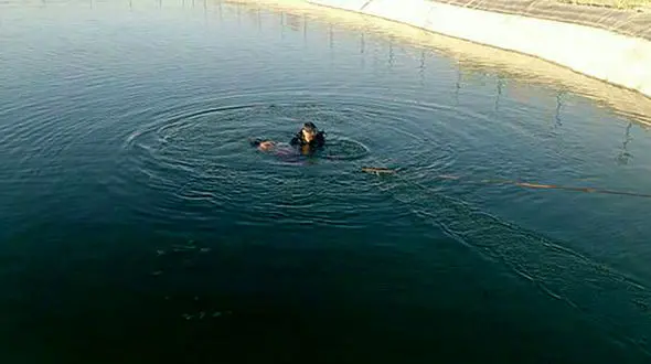  مرگ دردناک دو کودک در تهران / دستور ویژه دادستان برای راز گشایی