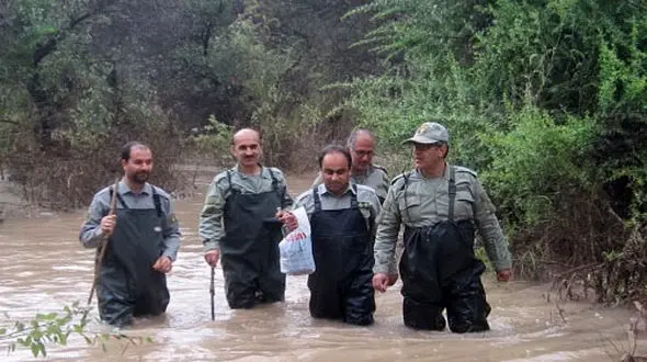 خبر خوب از سیل / گوزن های گمشده در سیل ایران زنده هستند + عکس