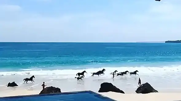 جزیره‌ ناشناخته مقصد گردشگران + فیلم