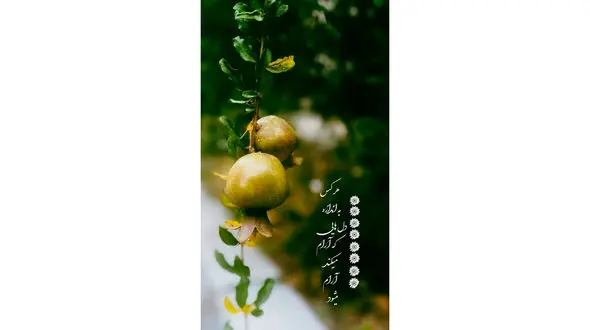 فال ابجد مخصوص 10 آذر + فیلم