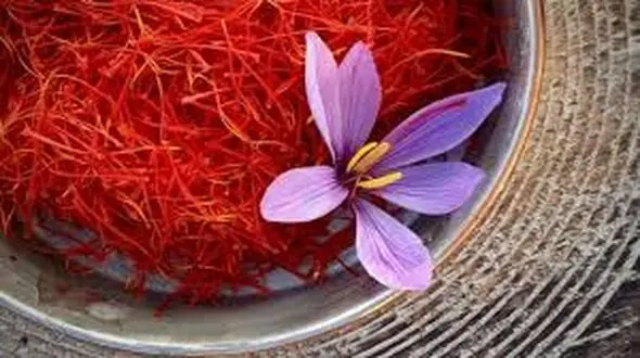 باید و نبایدهای تغذیه ای برای مبتلایان به کیست تخمدان