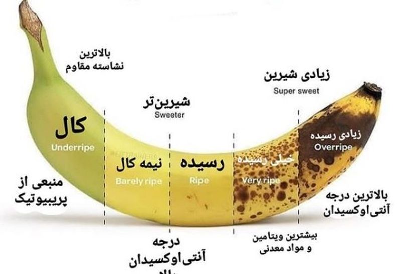 موزشناسی