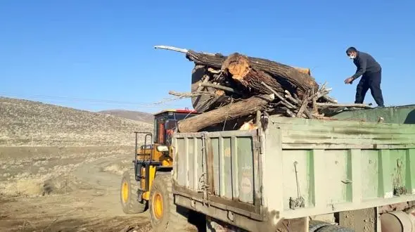 برخورد قانونی با عاملان قطع درختان واقع در اراضی ملی گلپایگان