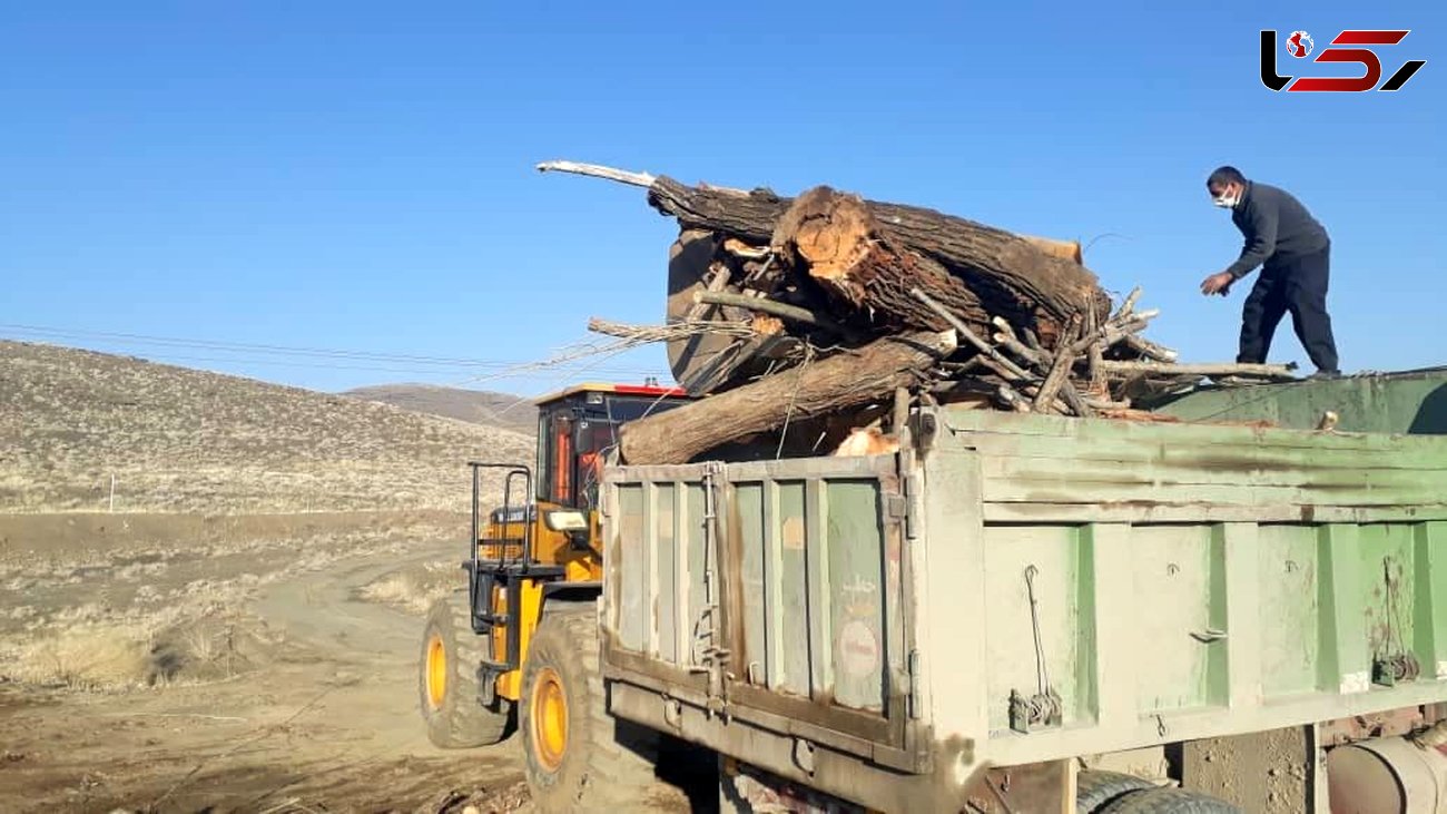 برخورد قانونی با عاملان قطع درختان واقع در اراضی ملی گلپایگان