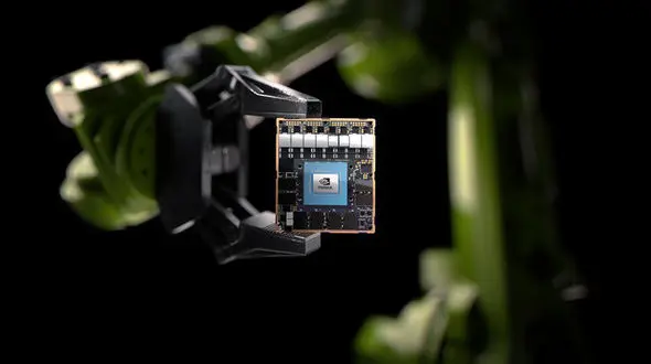 فروش مغز با قیمت هنگفت!