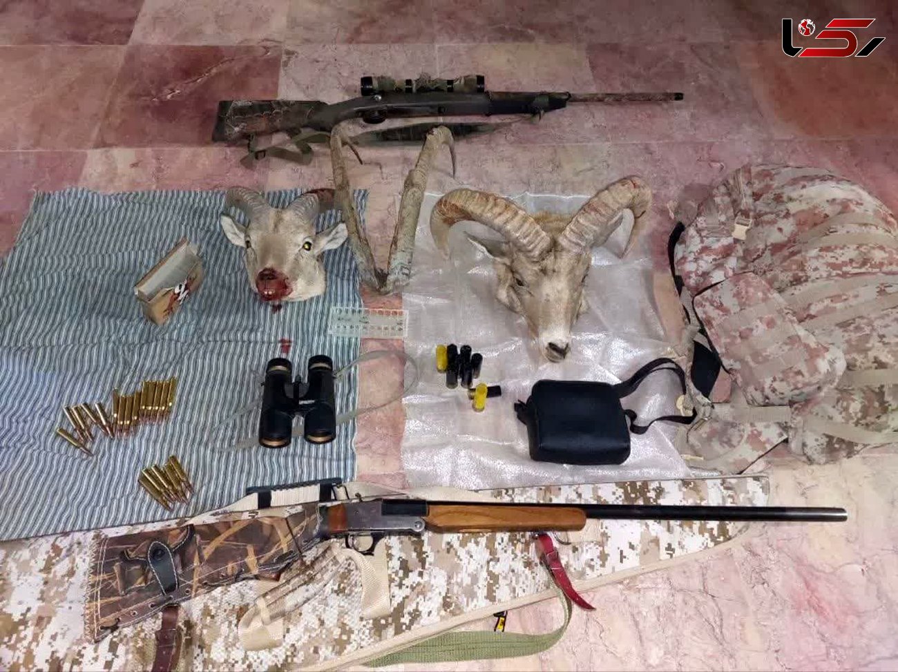 دستگیری باند شکارچیان متخلف در شهرستان تفت 