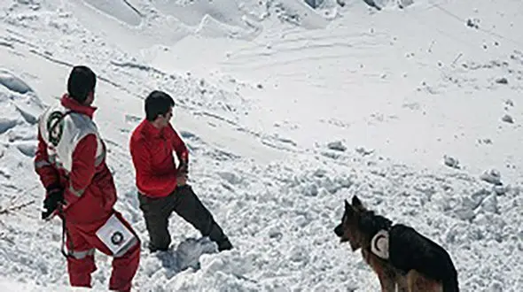نجات دو کوهنورد قزوینی از  ریزش بهمن لواسان 