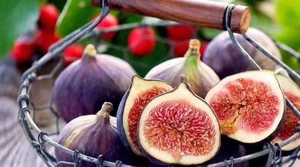 پیشگیری و درمان یبوست با فوت و فن طب سنتی