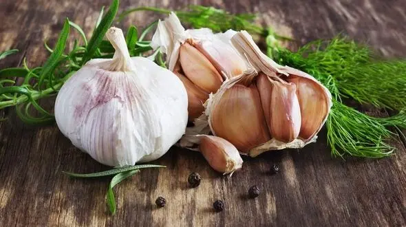 معجزه سیر در کاهش بیماری های کشنده