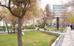 راهکاری ساده برای همزیستی انسان ها و حیوانات در شهر، بدون تنش + فیلم و صوت