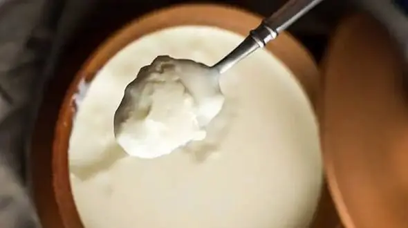 فیلم/ نحوه درست کردن ماست خانگی با یک روش ساده و سرعتی 