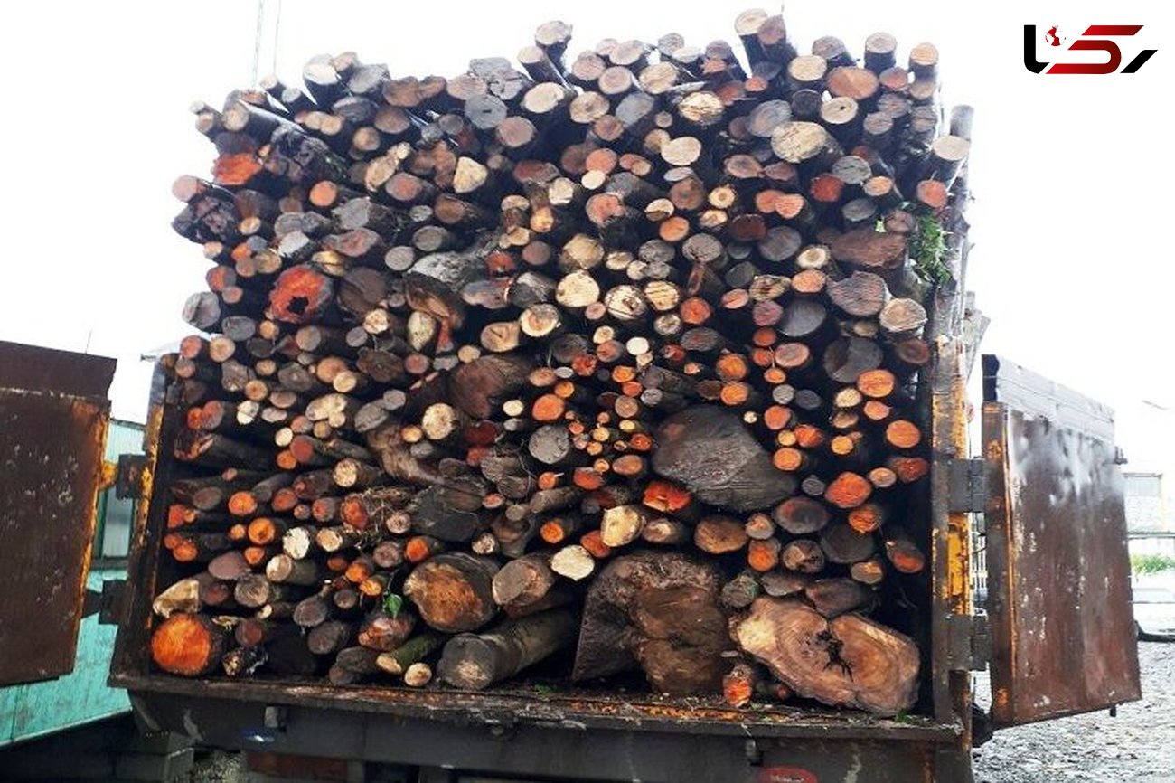 کشف محموله قاچاق چوب در مهاباد / متهم دستگیر شد
