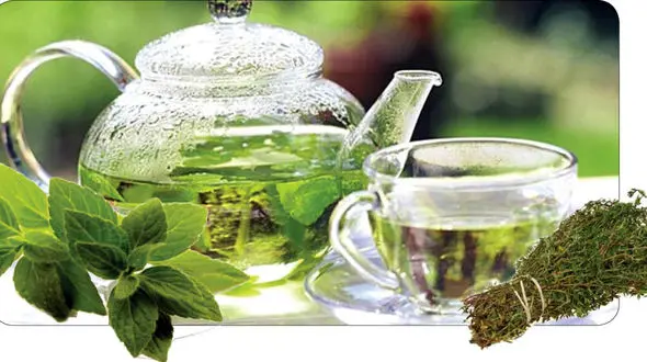 آویشن داروی طبیعی سرماخوردگی