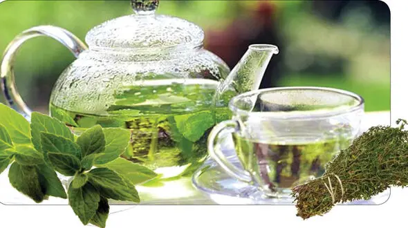 آویشن داروی طبیعی سرماخوردگی