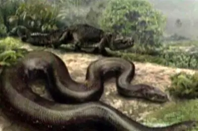 غول خفته از دل زمین بیدار شد / کشف بقایای مار ۱۳ متری در کلمبیا + عکس