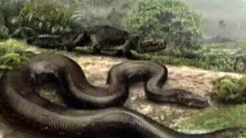 غول خفته از دل زمین بیدار شد / کشف بقایای مار ۱۳ متری در کلمبیا + عکس